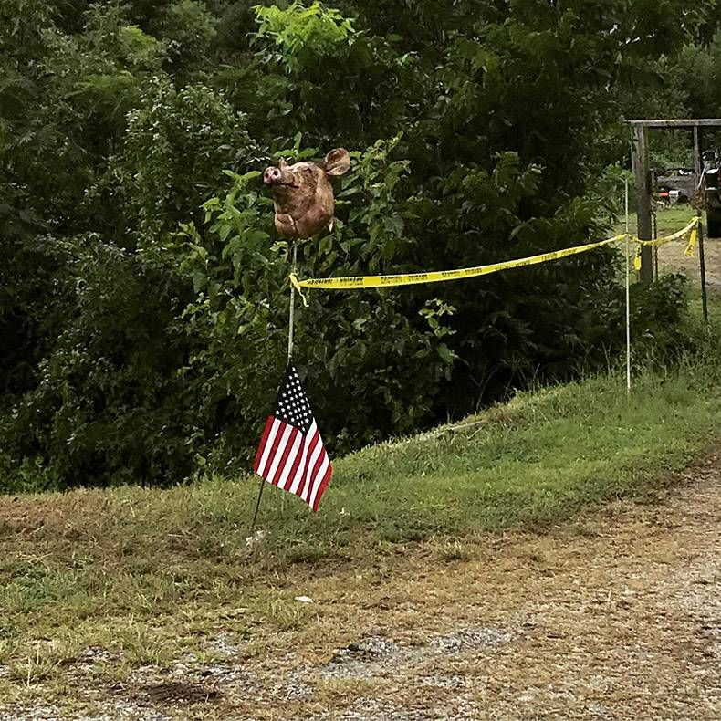 Gewoon een verzameling hilarische foto's #862
