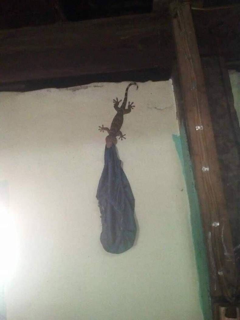 Gewoon een verzameling hilarische foto's #1173