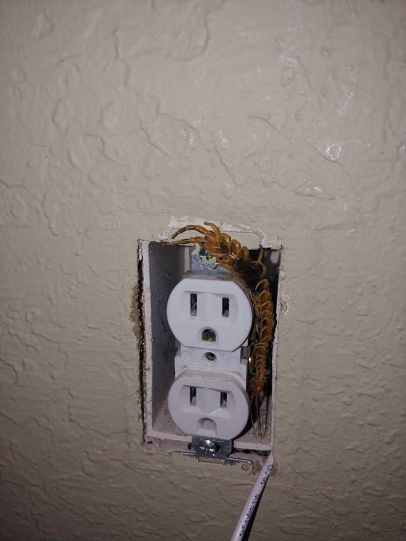 Gewoon een verzameling hilarische foto's #1024