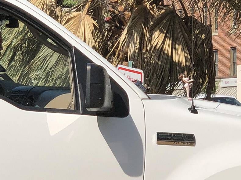 Gewoon een verzameling hilarische foto’s #978