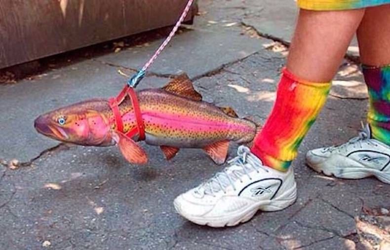 Gewoon een verzameling hilarische foto's #747