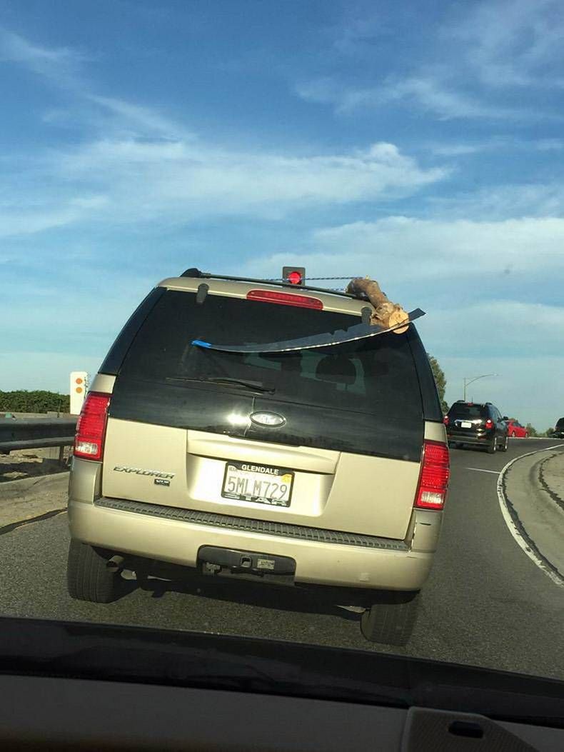 Gewoon een verzameling hilarische foto's #1152