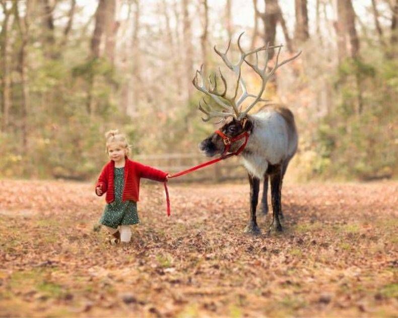 Gewoon een verzameling hilarische foto's #747