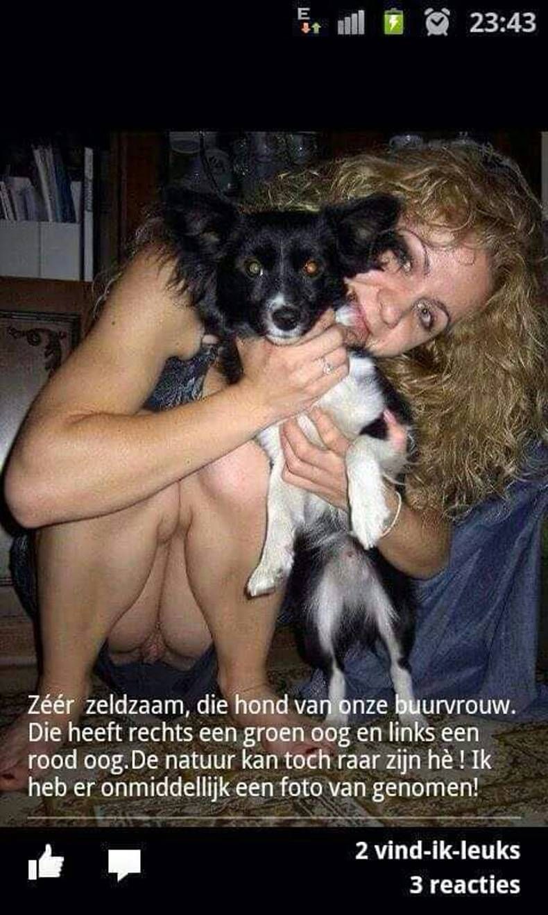 Gewoon een verzameling hilarische foto's #730