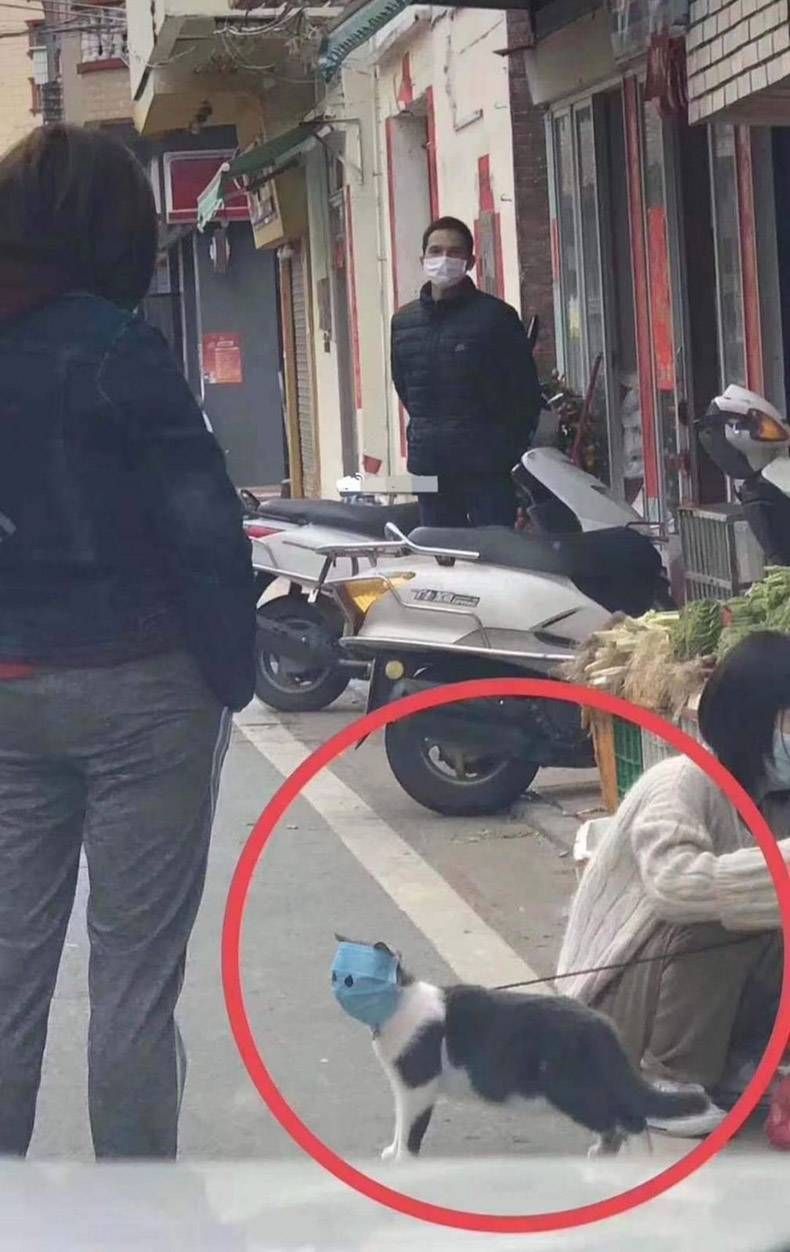 Gewoon een verzameling hilarische foto's #1244