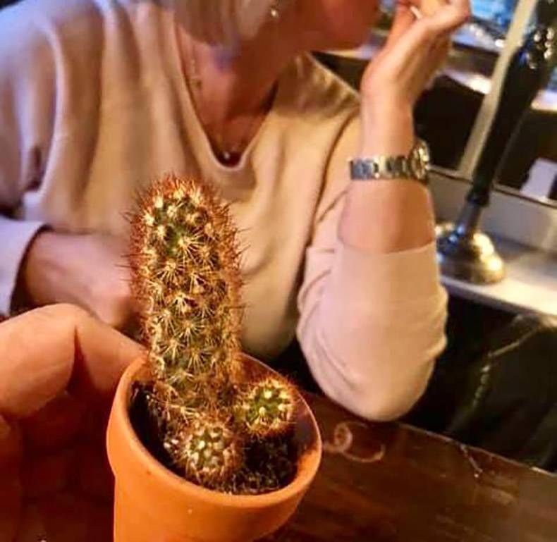 Gewoon een verzameling hilarische foto's #1178