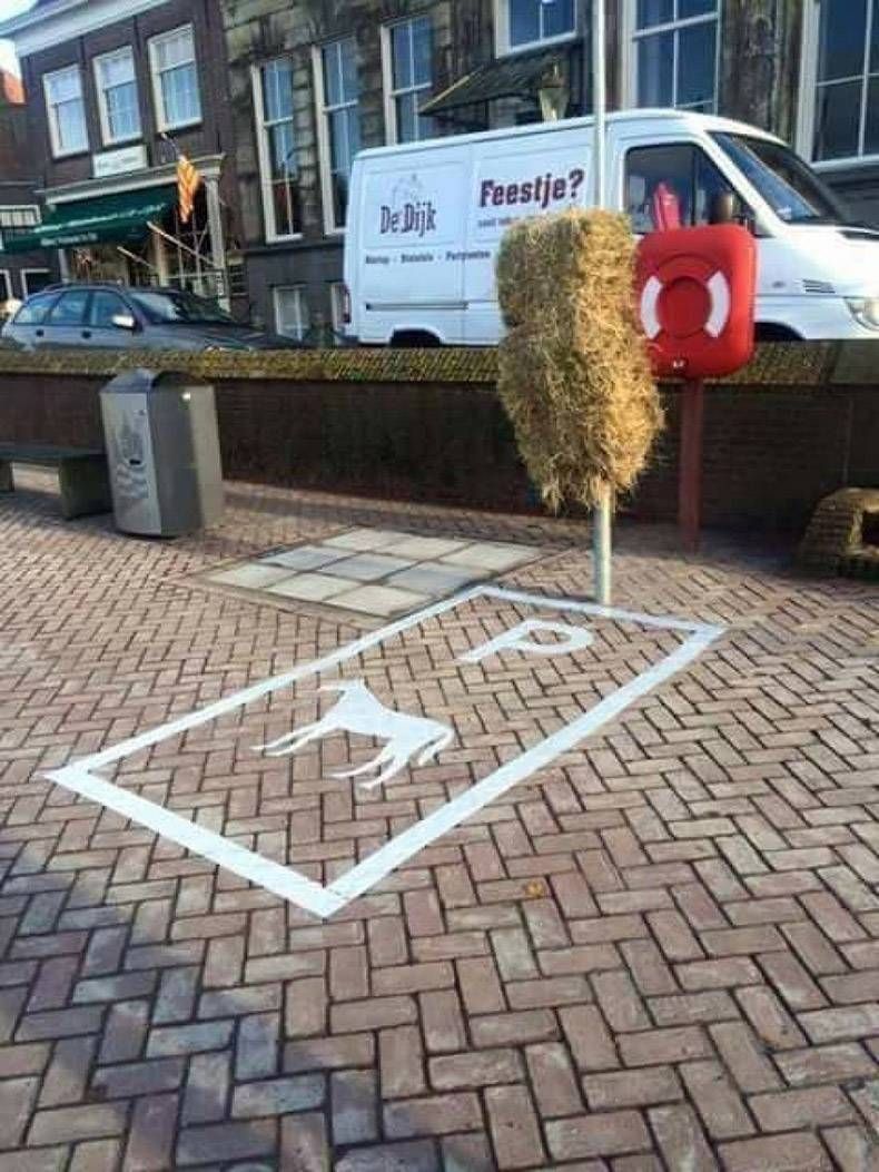Gewoon een verzameling hilarische foto's #999