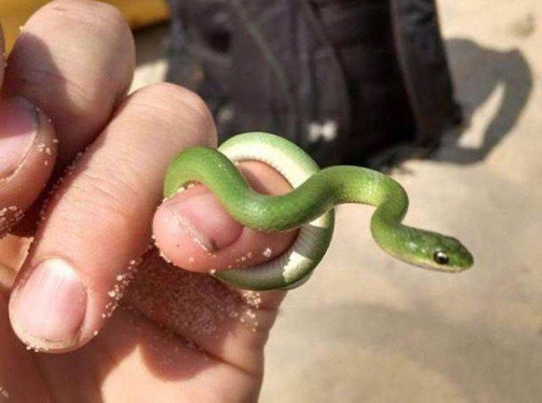 Gewoon een verzameling hilarische foto's #745