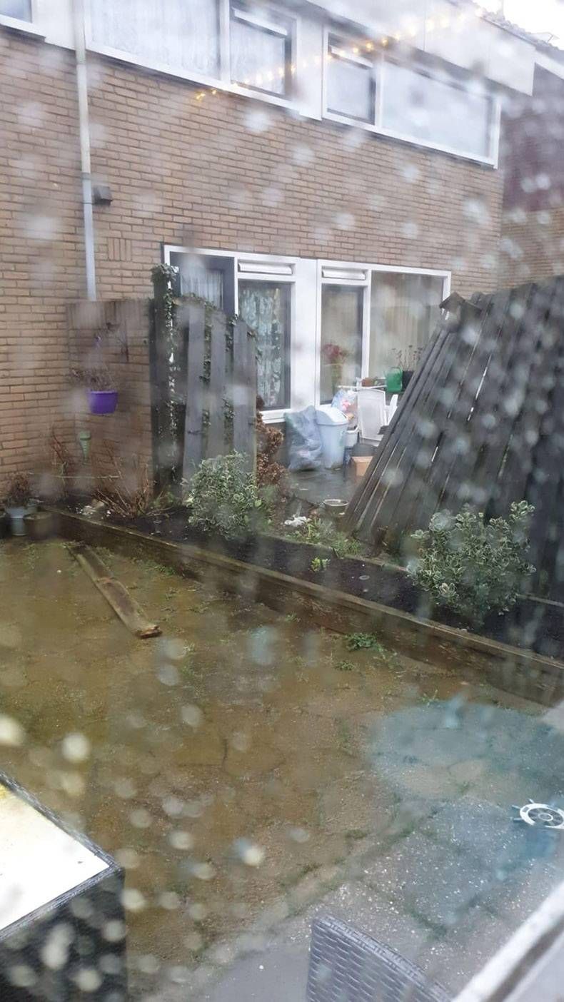 Gewoon een verzameling hilarische foto's #1244