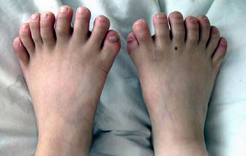 Gewoon een verzameling hilarische foto's #895