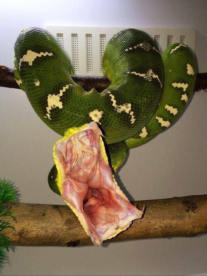 Gewoon een verzameling hilarische foto's #730