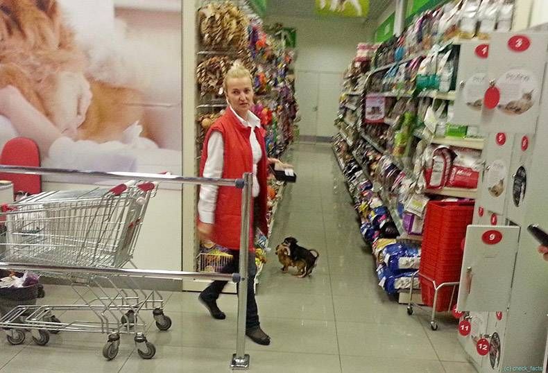 Gewoon een verzameling hilarische foto's #893