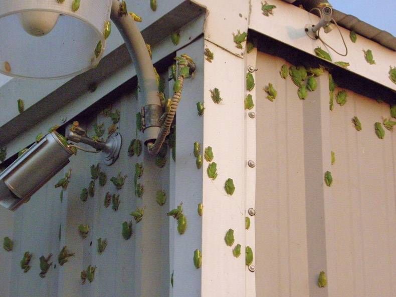 Gewoon een verzameling hilarische foto’s #858