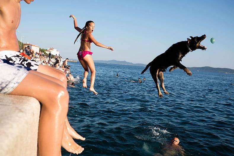 Gewoon een verzameling hilarische foto’s #847