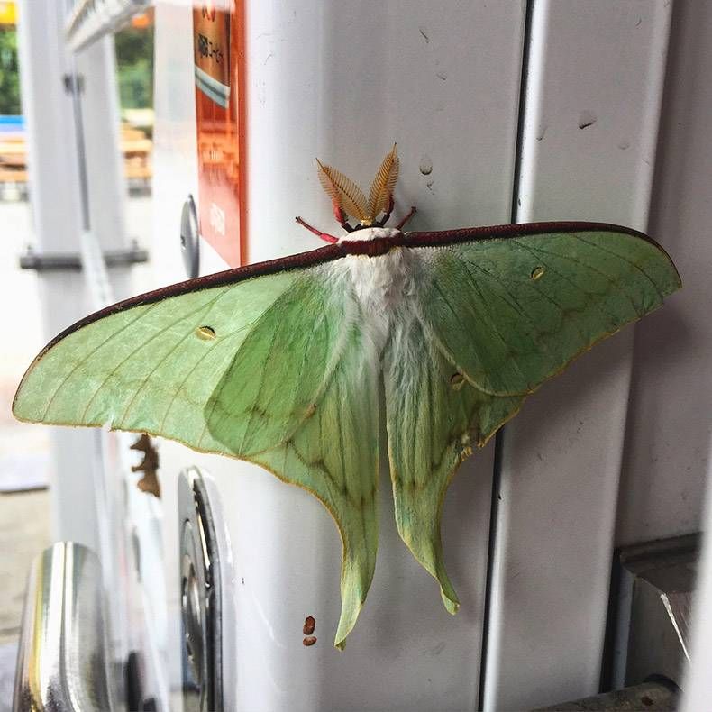 Gewoon een verzameling hilarische foto's #845