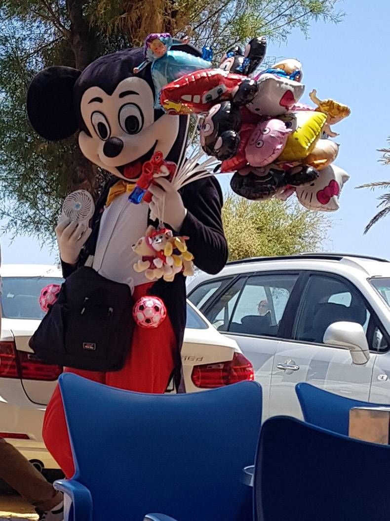 Gewoon een verzameling hilarische foto's #823