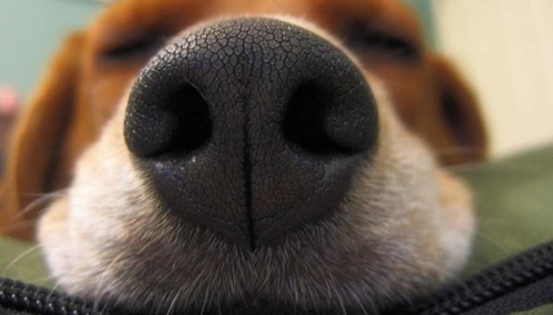 Gewoon een verzameling hilarische foto's #745