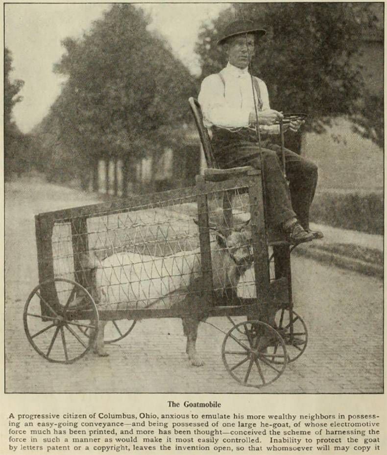 Gewoon een verzameling hilarische foto's #778