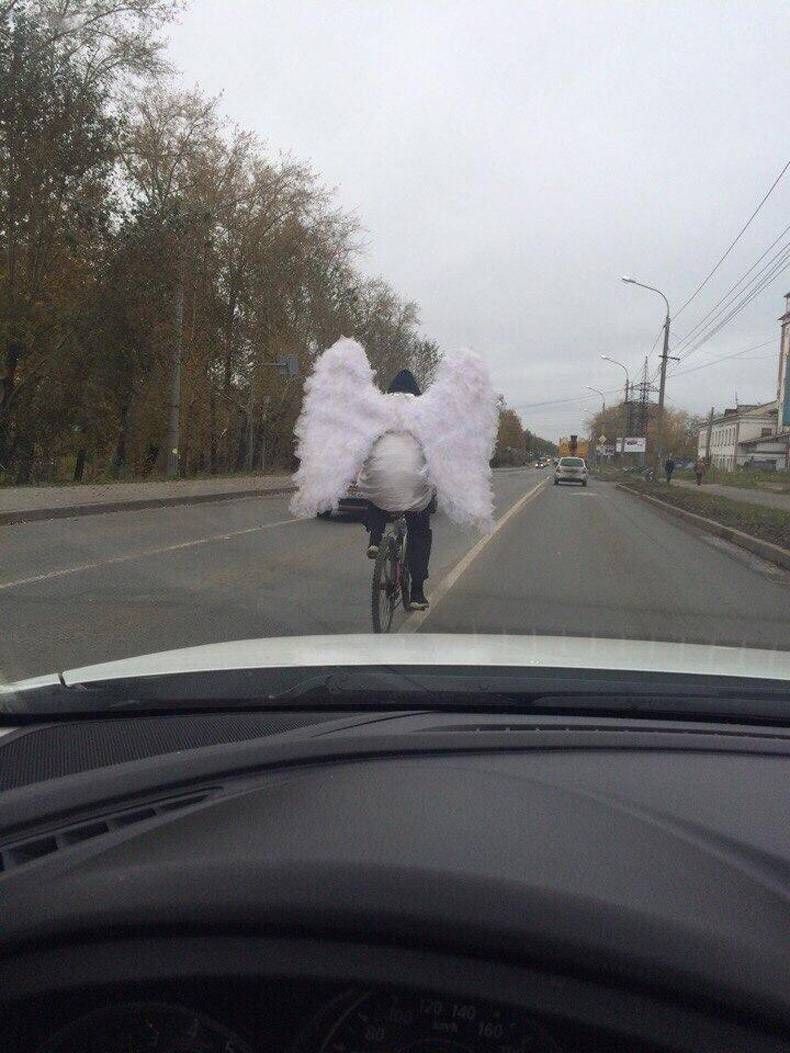 Gewoon een verzameling hilarische foto's #714
