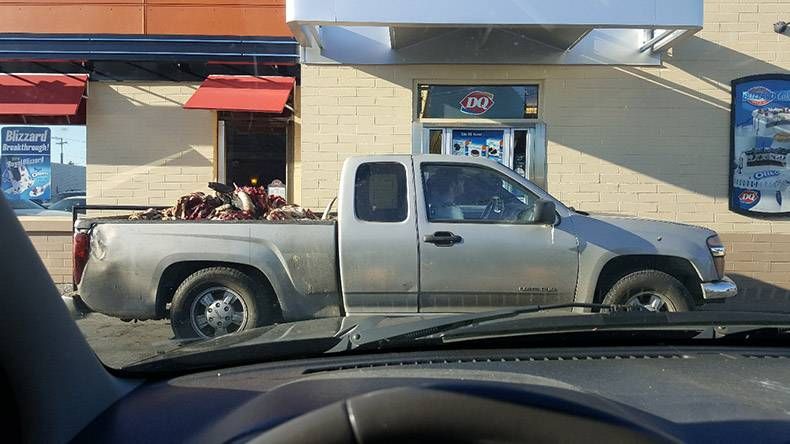 Gewoon een verzameling hilarische foto's #862