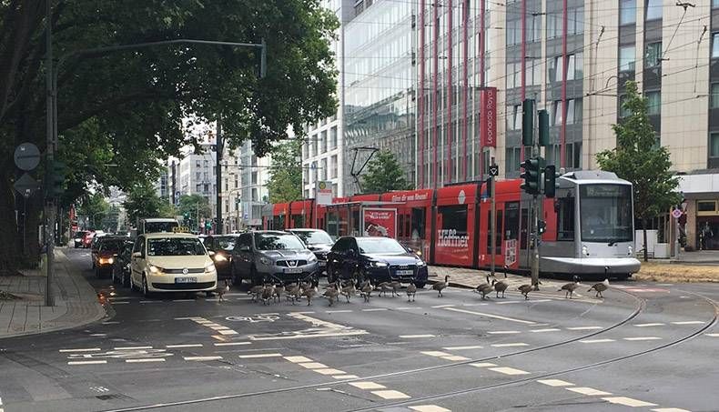 Gewoon een verzameling hilarische foto's #833