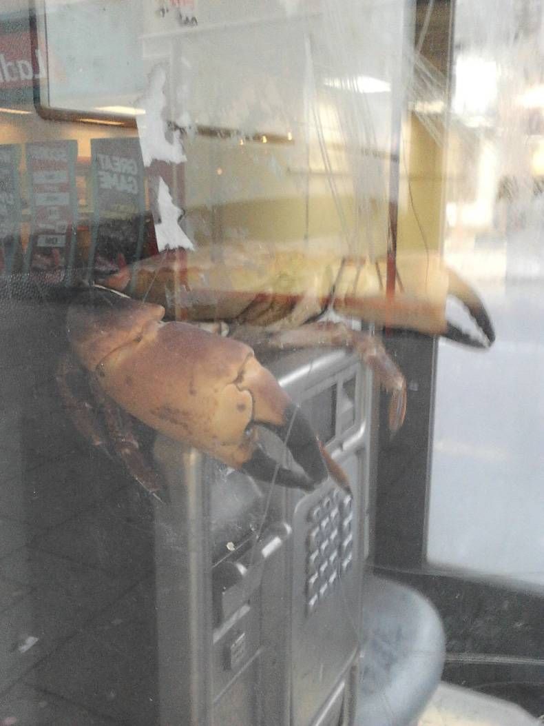 Gewoon een verzameling hilarische foto's #725