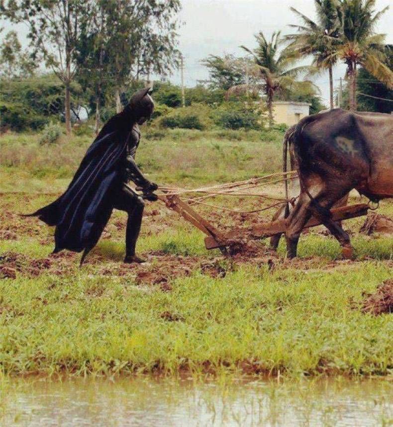 Gewoon een verzameling hilarische foto's #1127