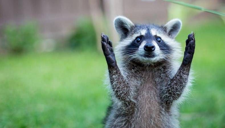 Gewoon een verzameling hilarische foto's #893