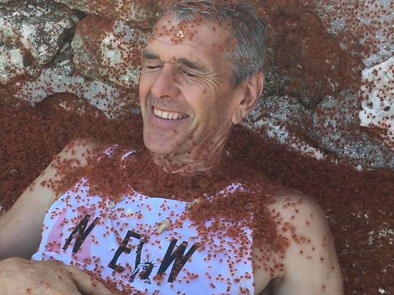 Gewoon een verzameling hilarische foto's #778