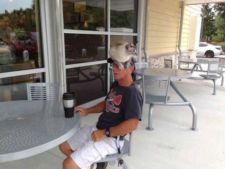 Gewoon een verzameling hilarische foto's #747