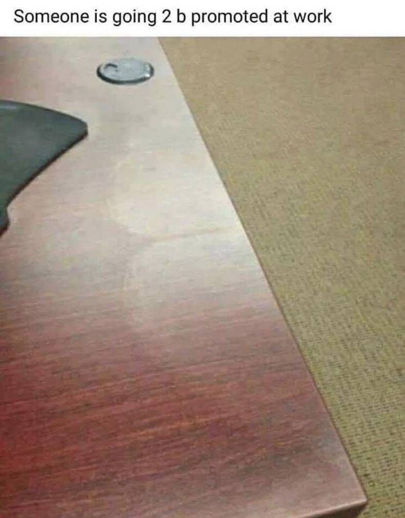 Gewoon een verzameling hilarische foto's #1069