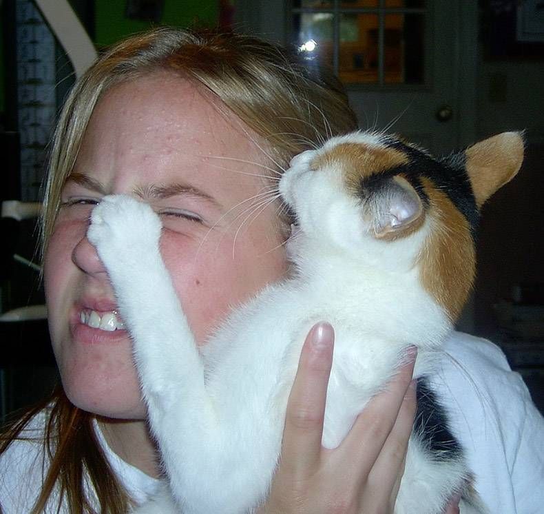 Gewoon een verzameling hilarische foto's #1159