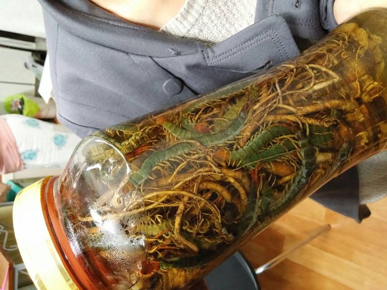 Gewoon een verzameling hilarische foto's #728