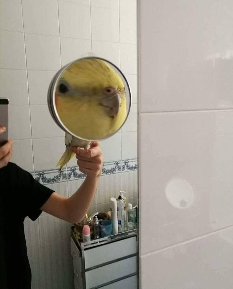 Gewoon een verzameling hilarische foto's #871