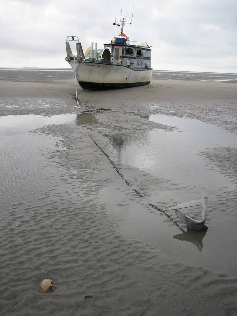 Gewoon een verzameling hilarische foto's #961