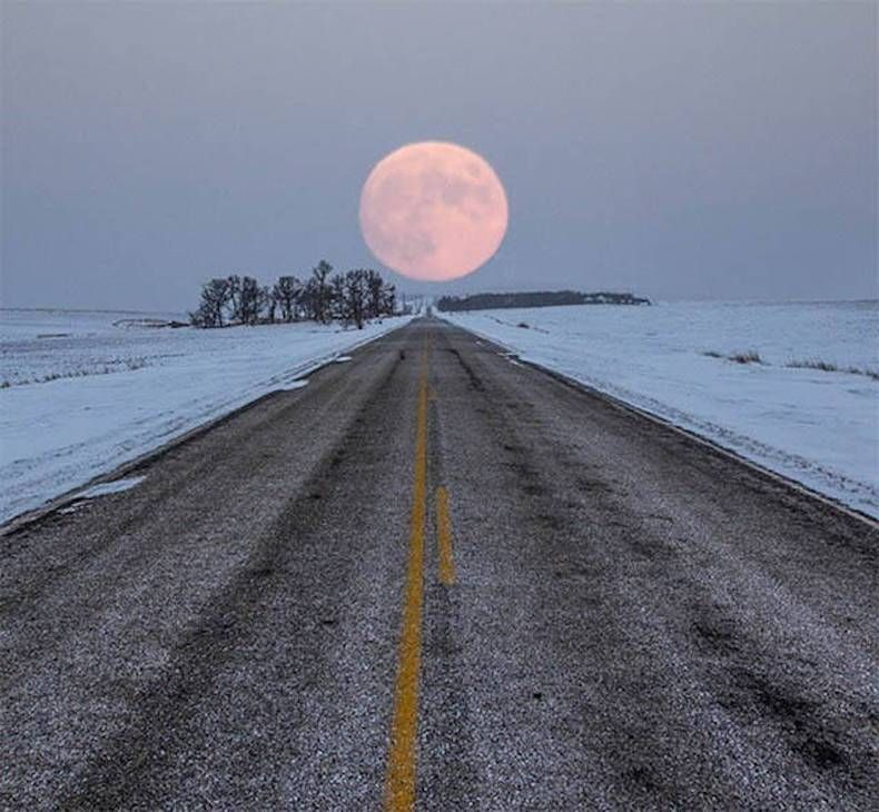 Gewoon een verzameling hilarische foto's #747