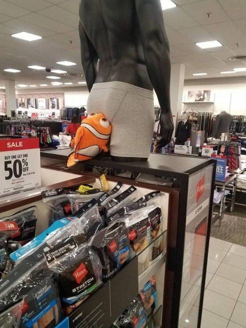 Gewoon een verzameling hilarische foto’s #1107