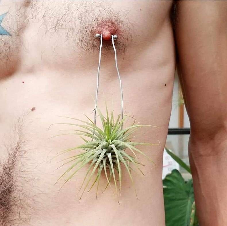 Gewoon een verzameling hilarische foto's #1178