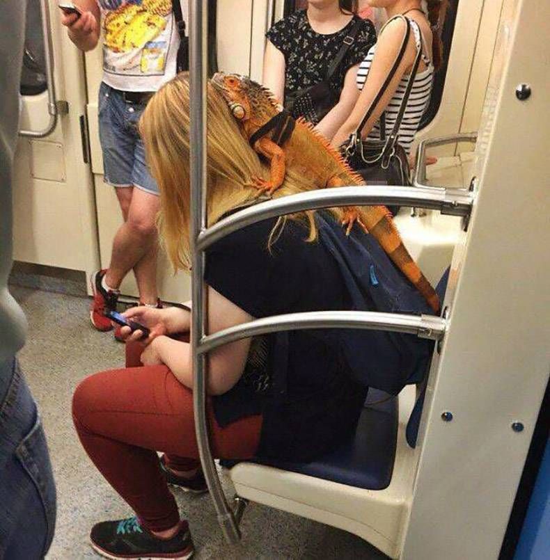 Gewoon een verzameling hilarische foto's #955