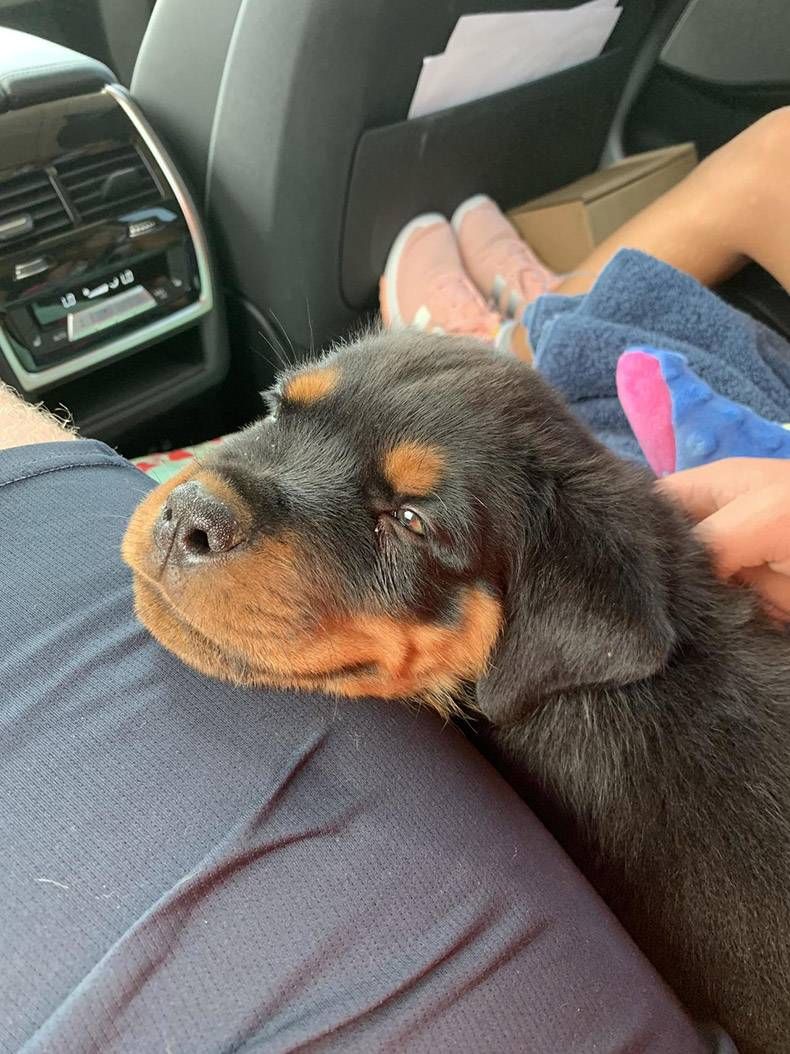 Gewoon een verzameling hilarische foto's #1159