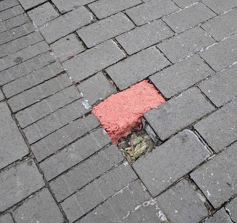 Gewoon een verzameling hilarische foto's #1128