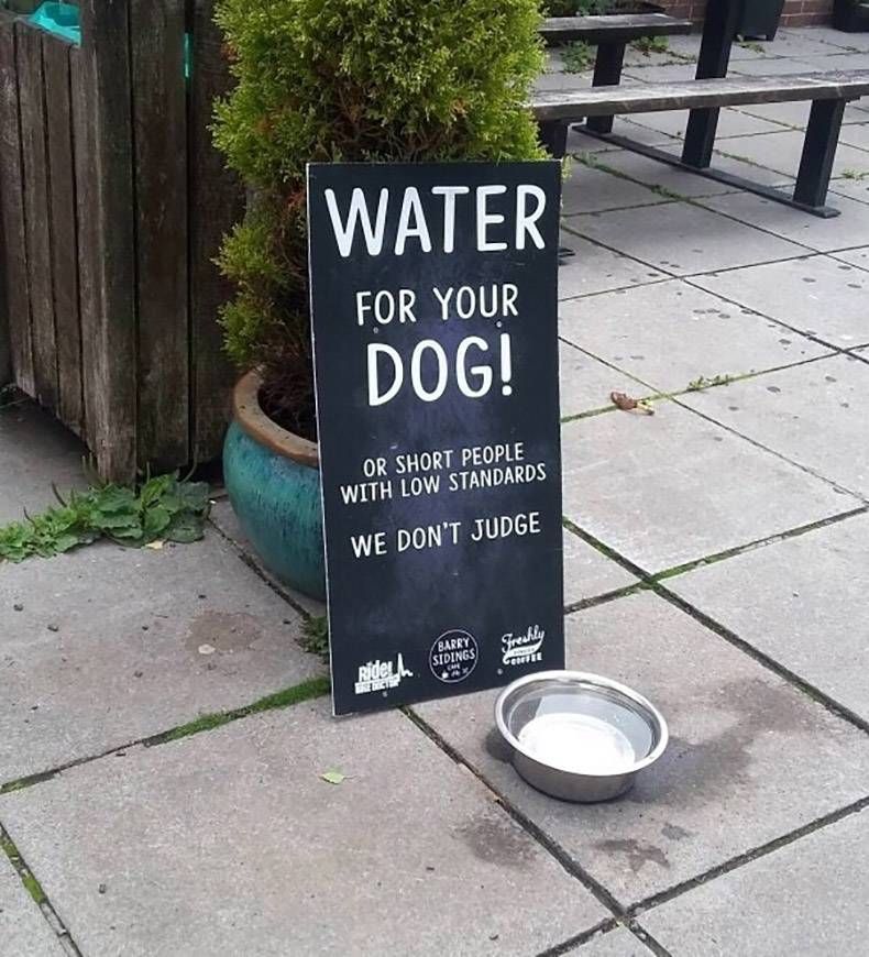 Gewoon een verzameling hilarische foto's #862