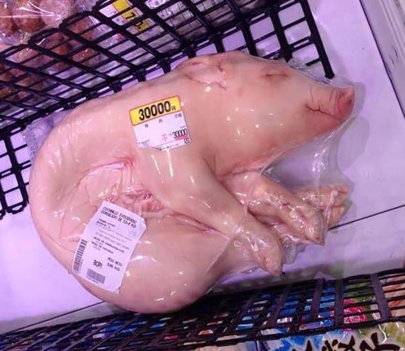 Gewoon een verzameling hilarische foto's #772