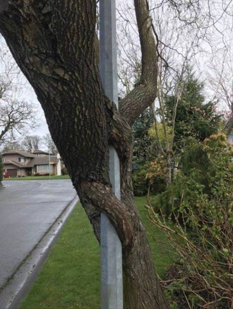 Gewoon een verzameling hilarische foto’s #1107