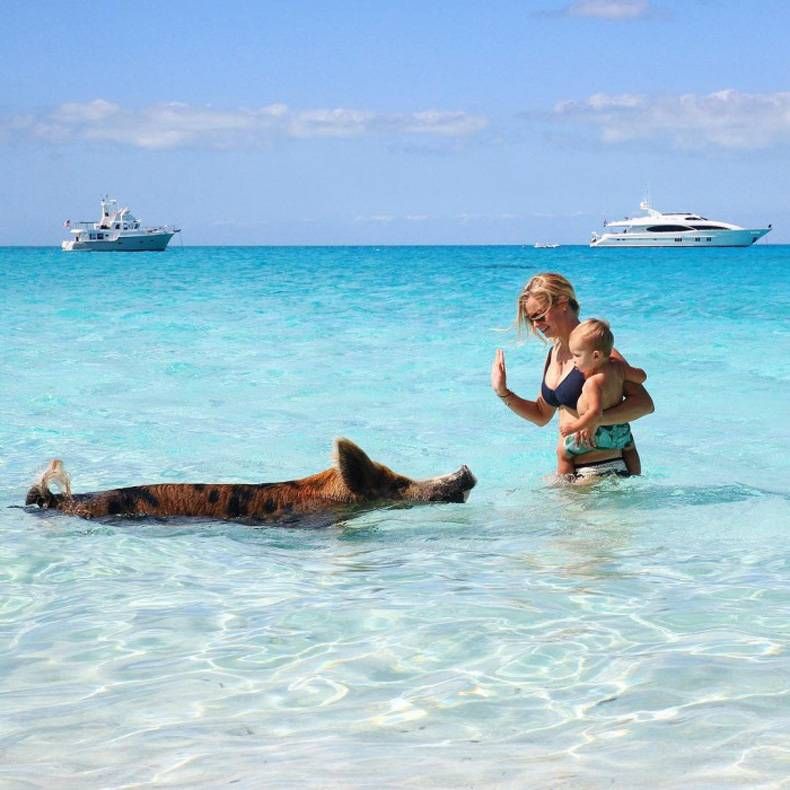 Gewoon een verzameling hilarische foto's #728