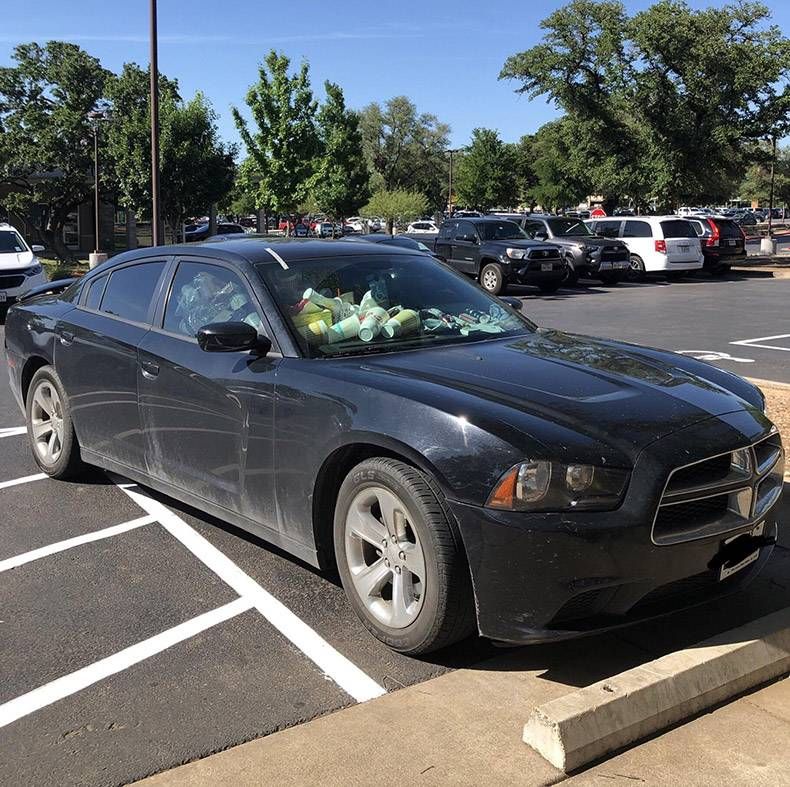 Gewoon een verzameling hilarische foto's #1120