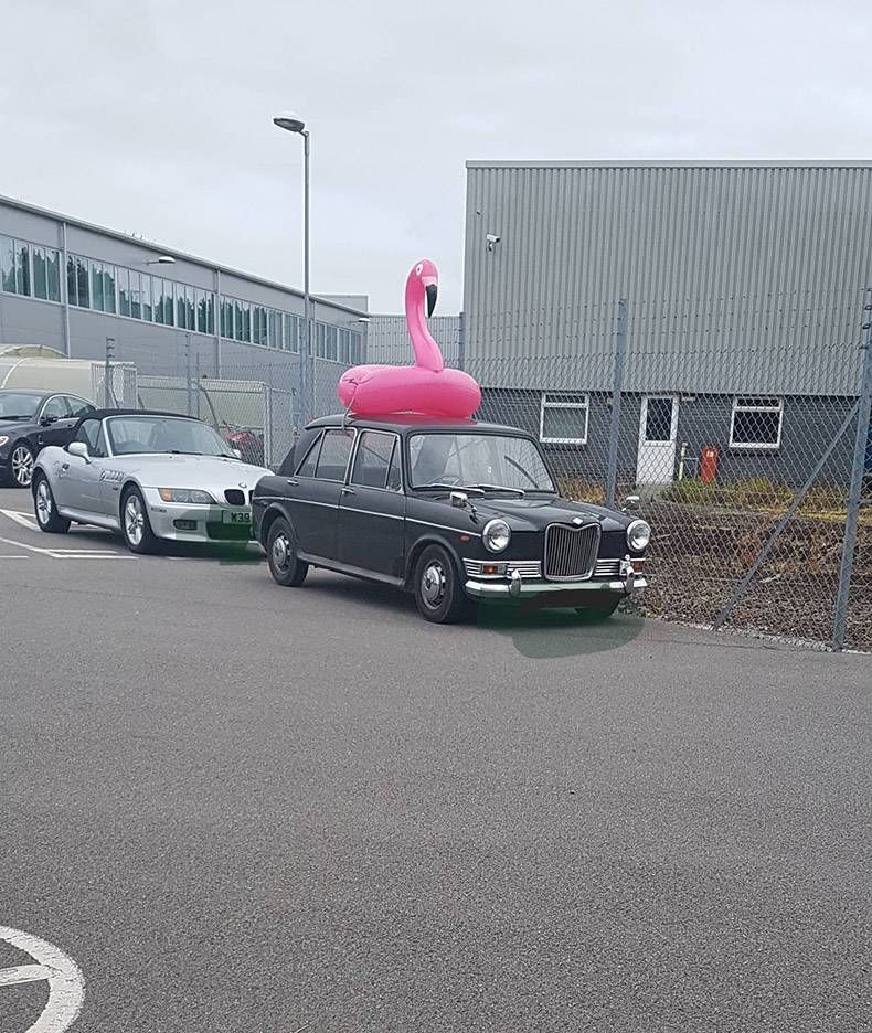 Gewoon een verzameling hilarische foto's #826