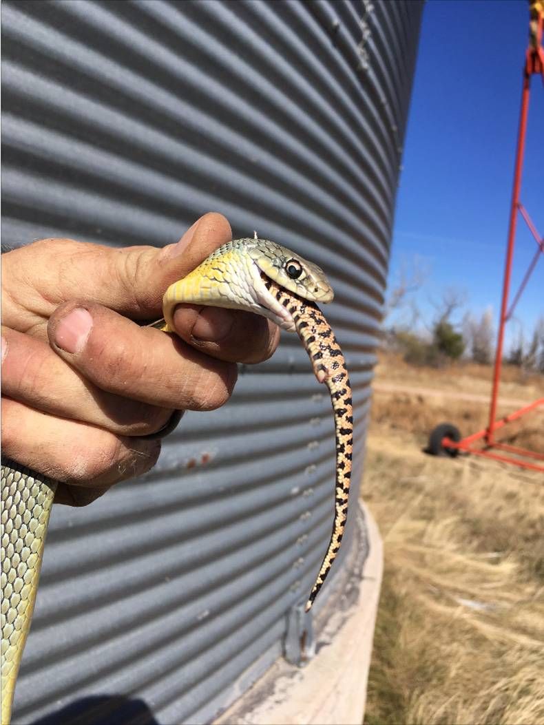 Gewoon een verzameling hilarische foto's #728