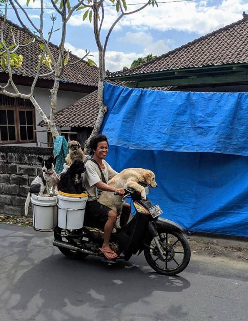 Gewoon een verzameling hilarische foto's #1152