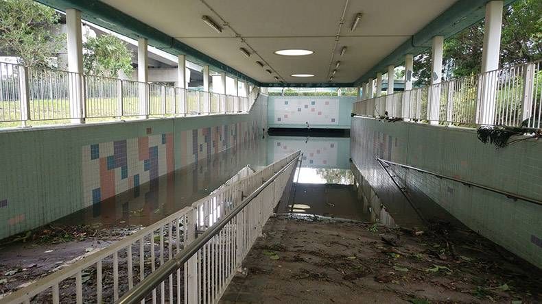 Gewoon een verzameling hilarische foto's #1024